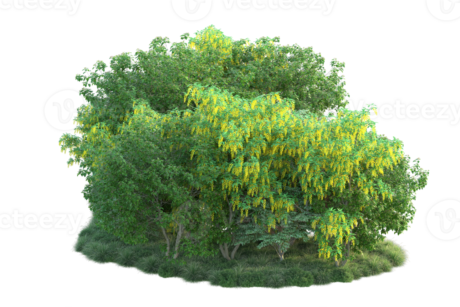 Tropical forest isolated on transparent background. 3d rendering - illustration png