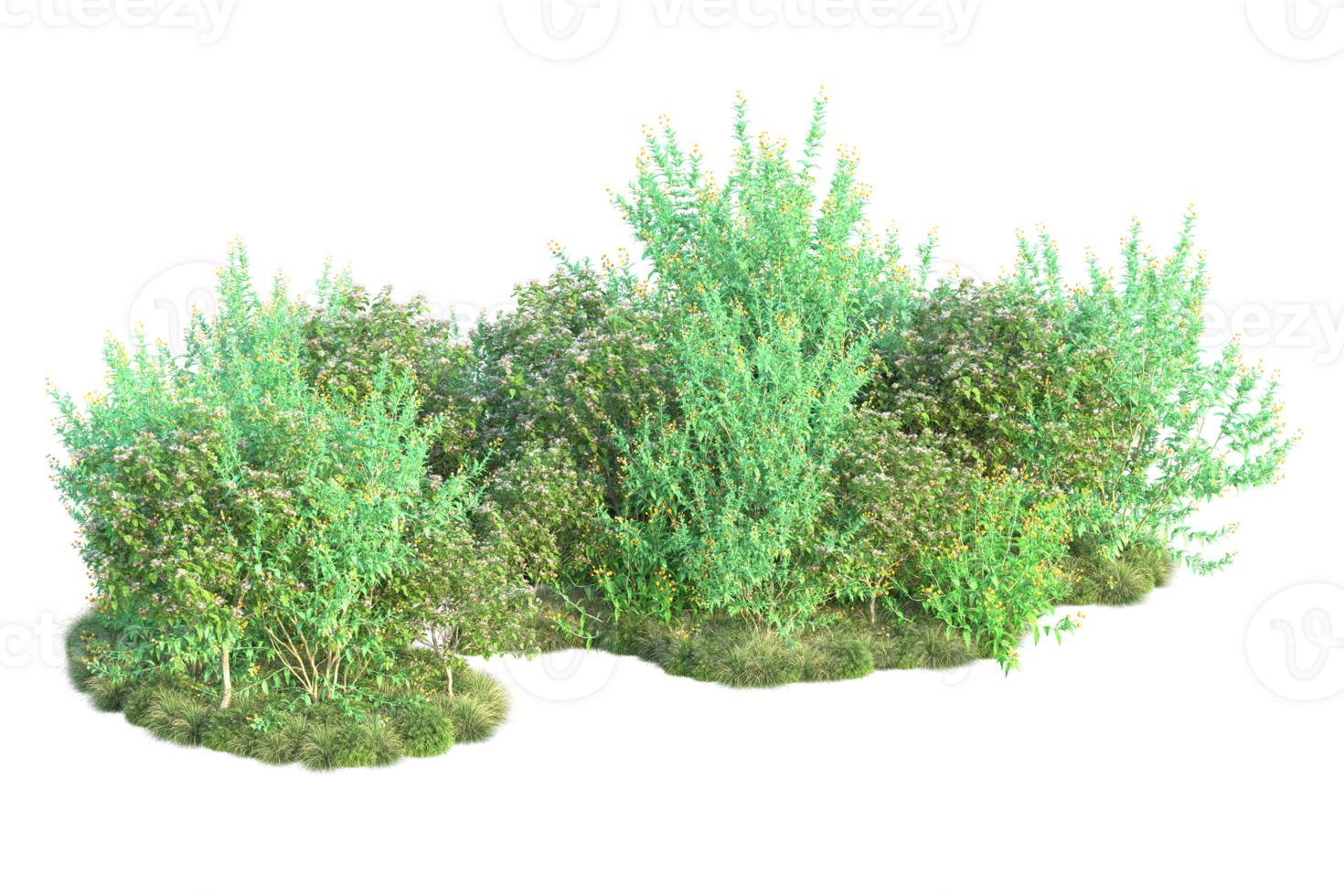 Tropical forest isolated on transparent background. 3d rendering - illustration png