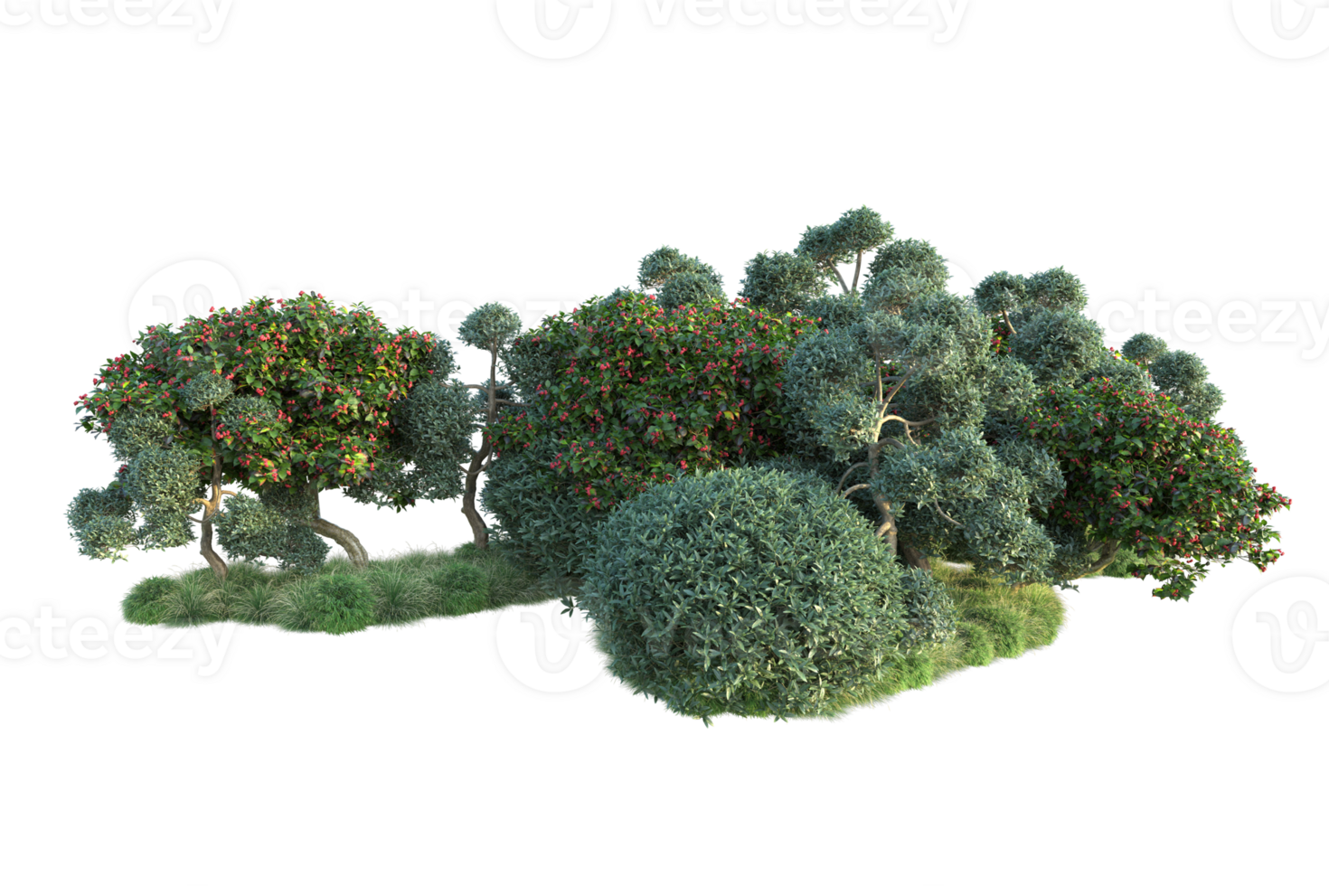 Tropical forest isolated on transparent background. 3d rendering - illustration png