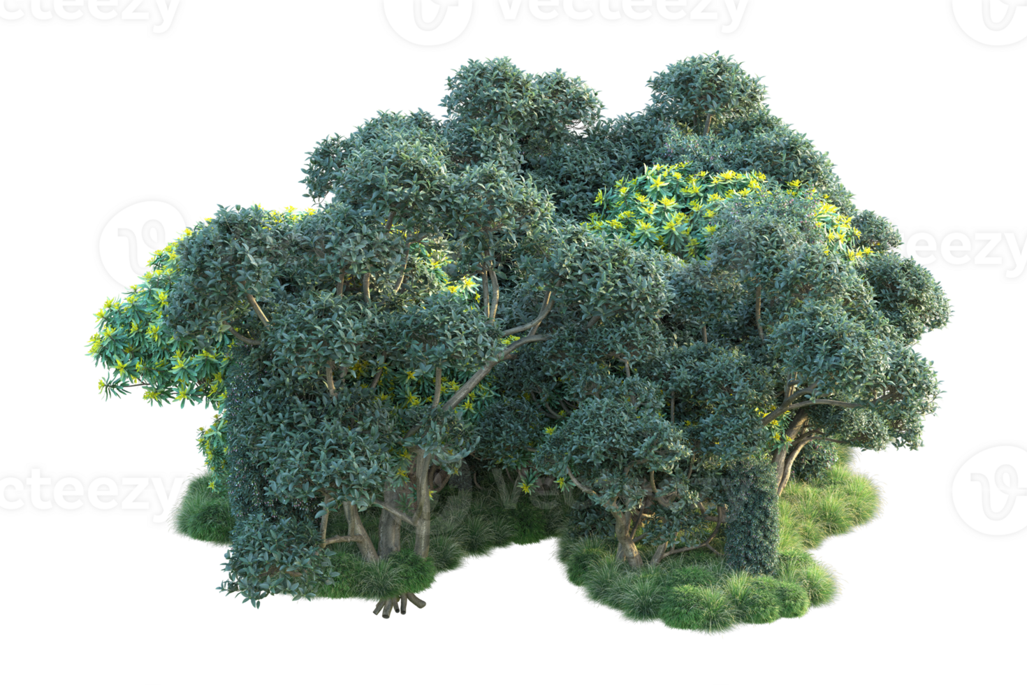 Tropical forest isolated on transparent background. 3d rendering - illustration png