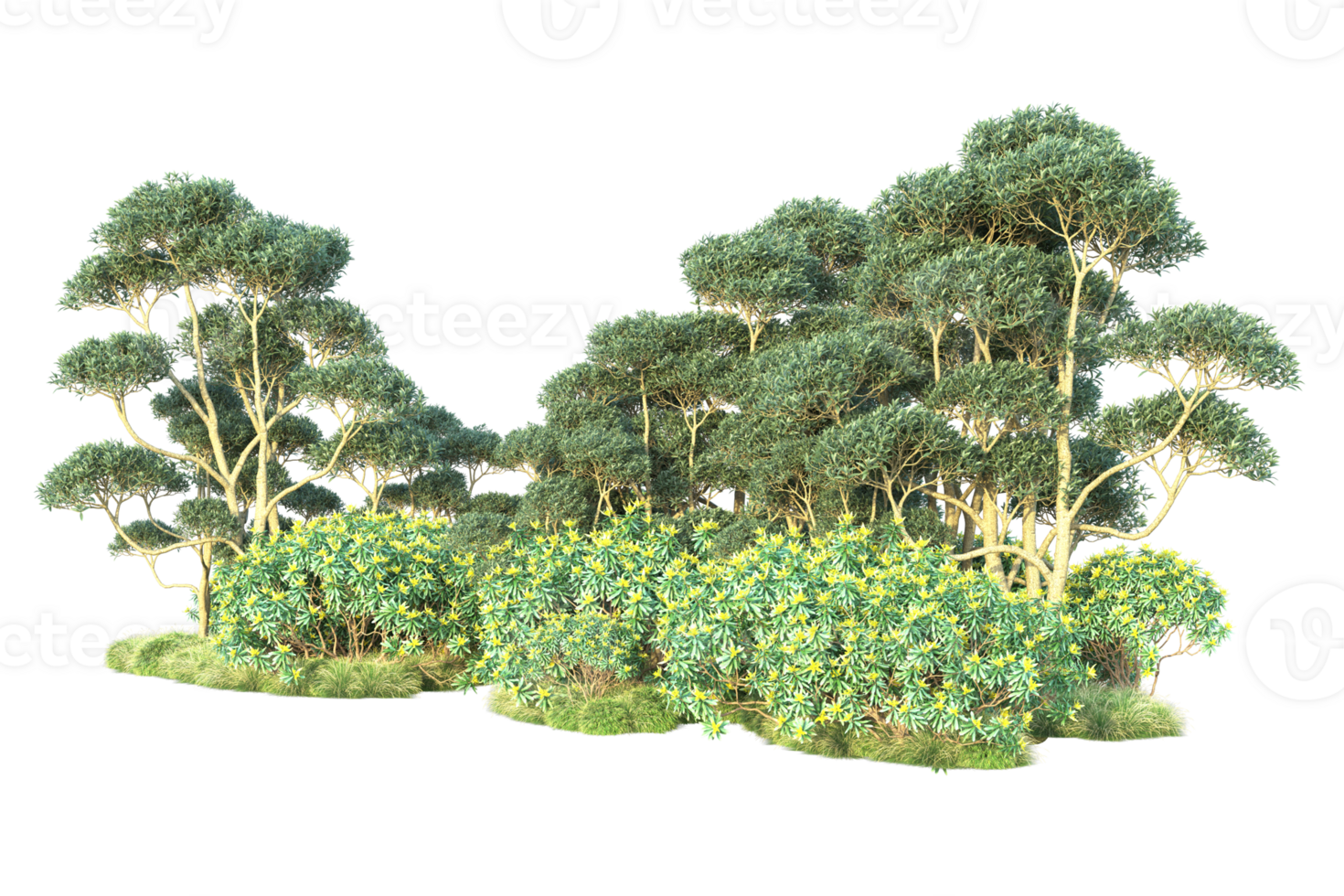 Tropical forest isolated on transparent background. 3d rendering - illustration png