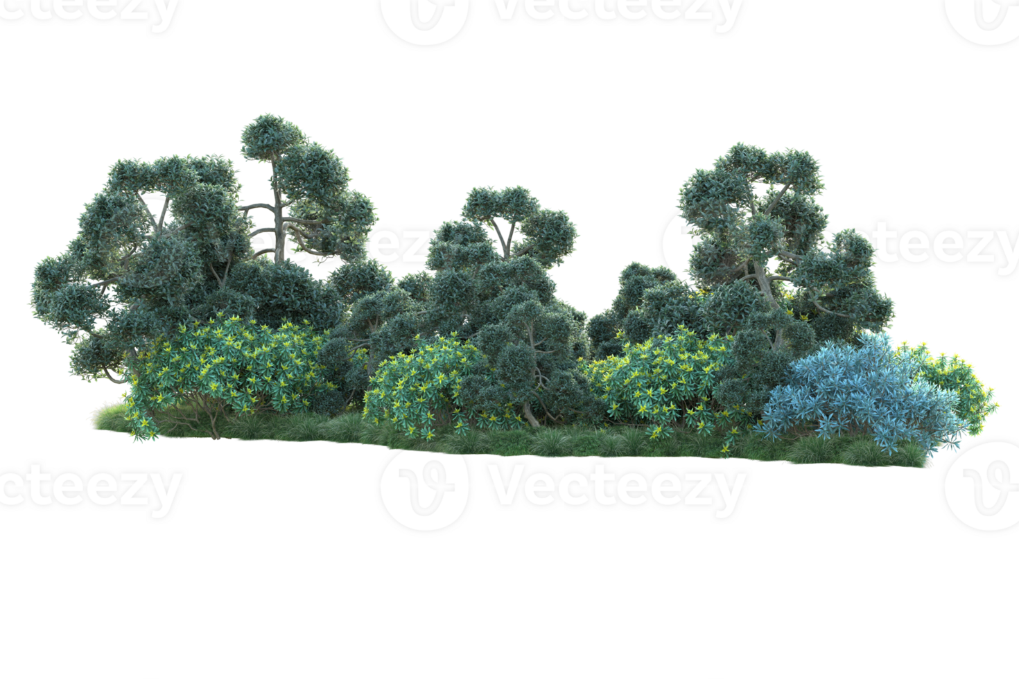 Tropical forest isolated on transparent background. 3d rendering - illustration png