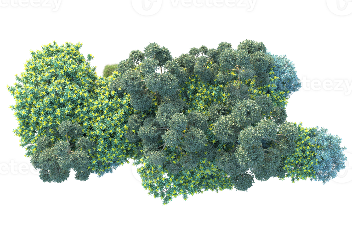 Tropical forest isolated on transparent background. 3d rendering - illustration png