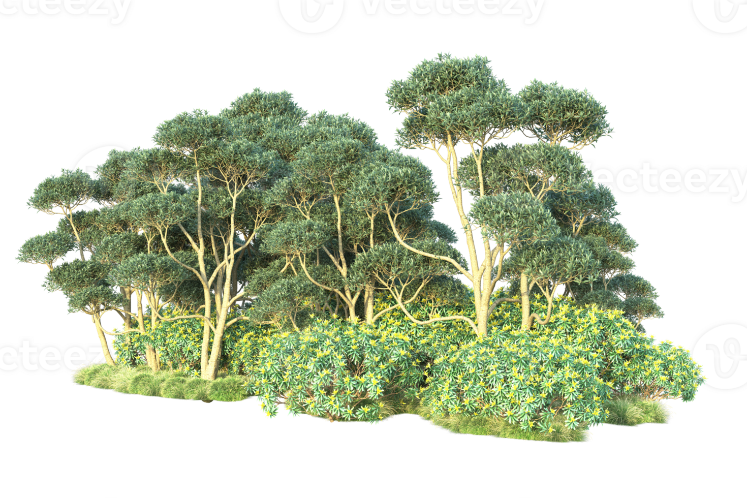 Tropical forest isolated on transparent background. 3d rendering - illustration png