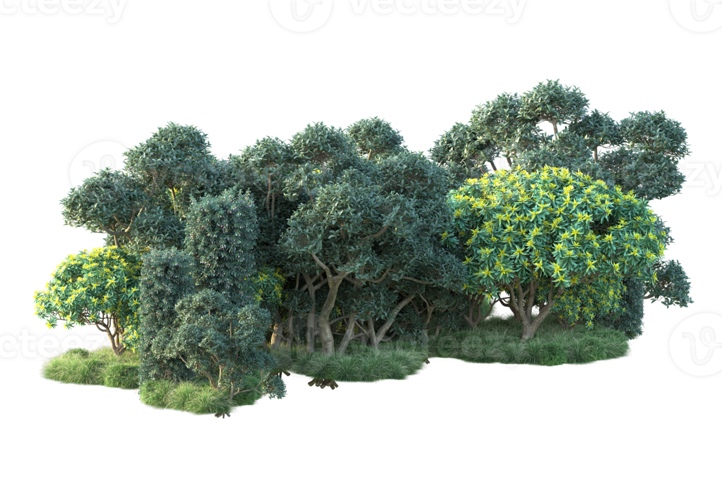 Tropical forest isolated on transparent background. 3d rendering - illustration png