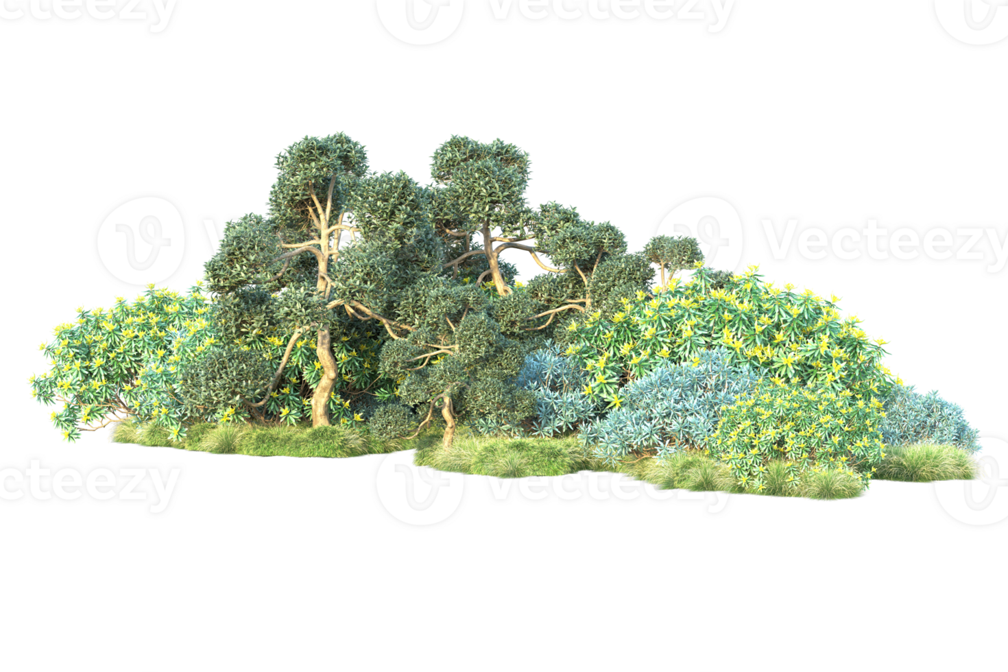 Tropical forest isolated on transparent background. 3d rendering - illustration png