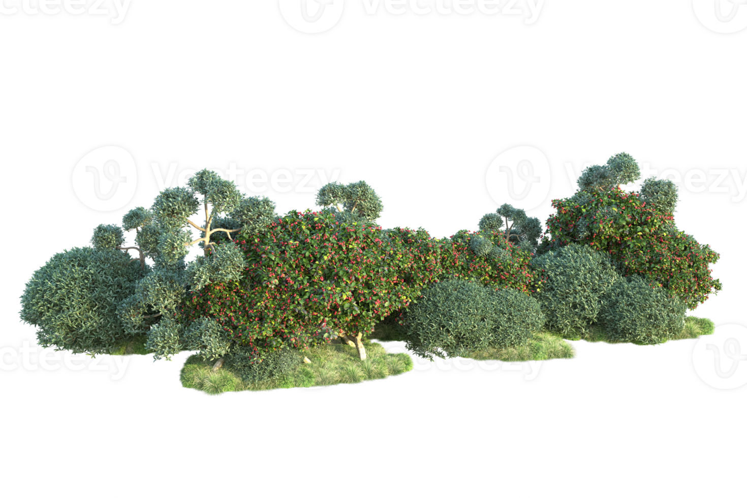 Tropical forest isolated on transparent background. 3d rendering - illustration png
