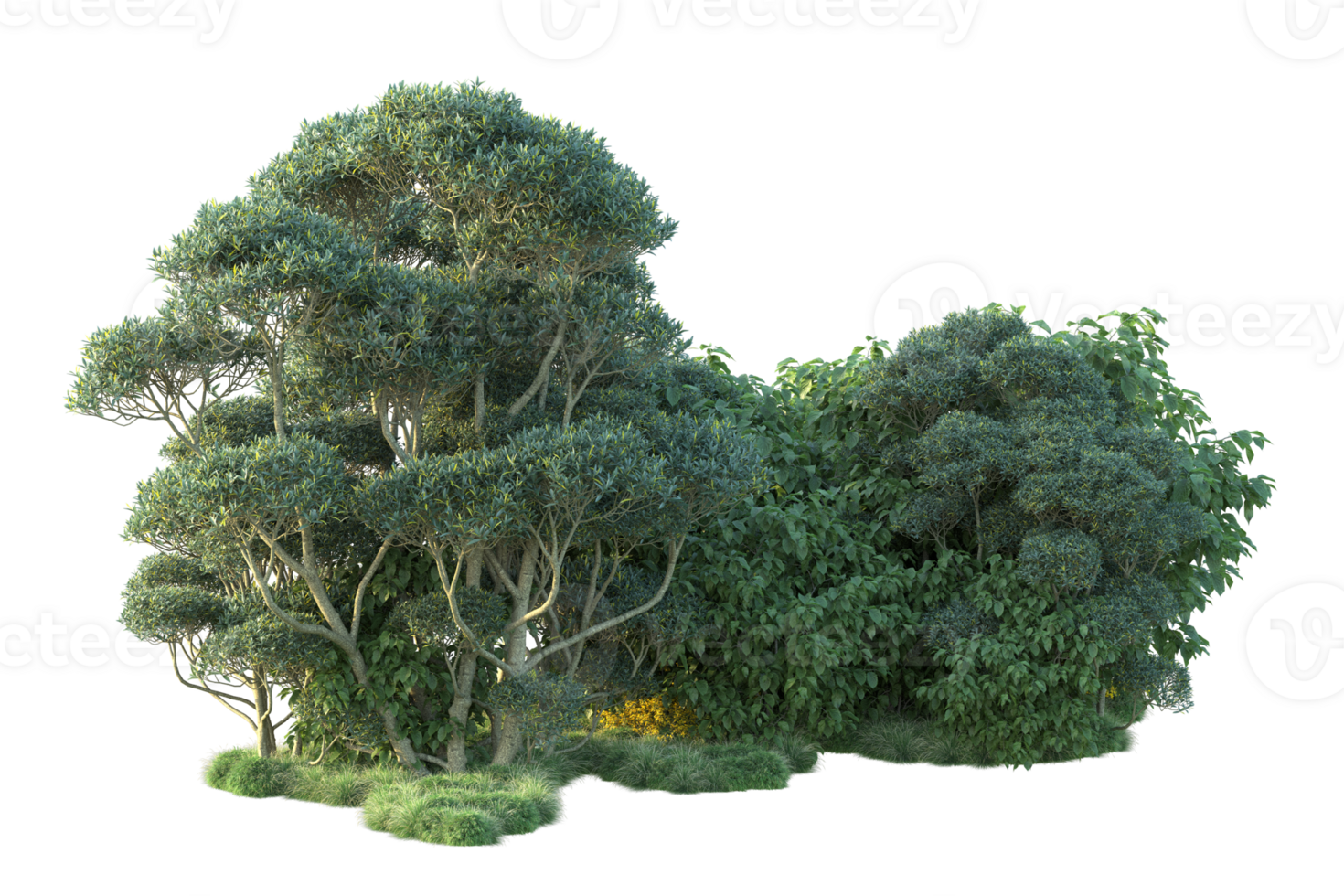 Tropical forest isolated on transparent background. 3d rendering - illustration png