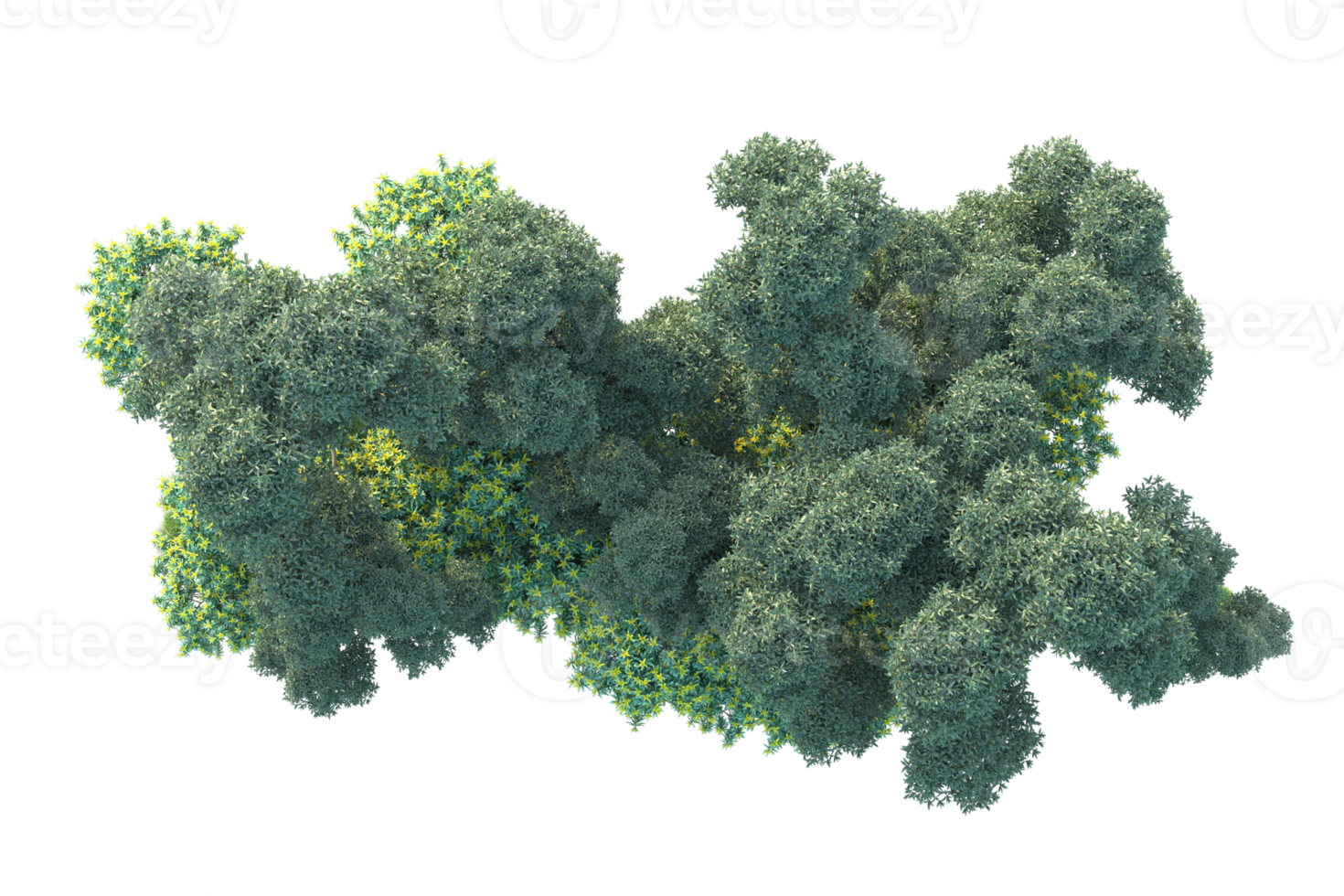 Tropical forest isolated on transparent background. 3d rendering - illustration png