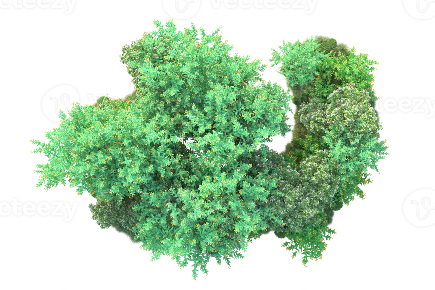 Tropical forest isolated on transparent background. 3d rendering - illustration png