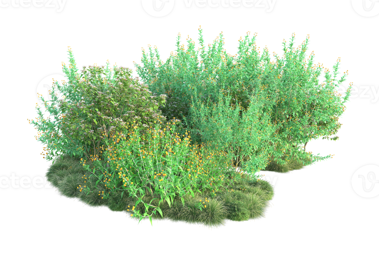 Tropical forest isolated on transparent background. 3d rendering - illustration png