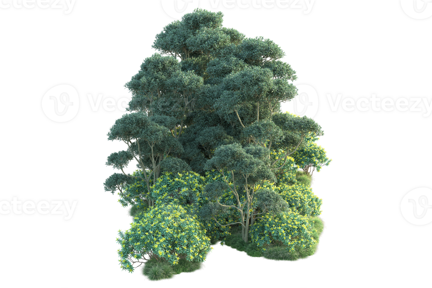 Tropical forest isolated on transparent background. 3d rendering - illustration png