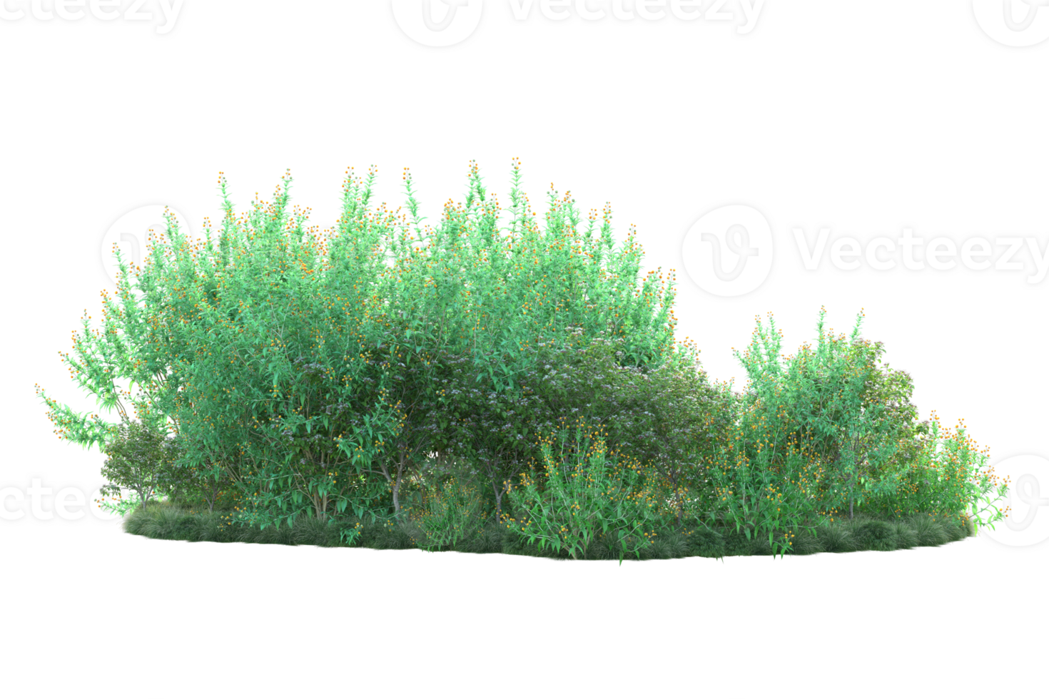 Tropical forest isolated on transparent background. 3d rendering - illustration png