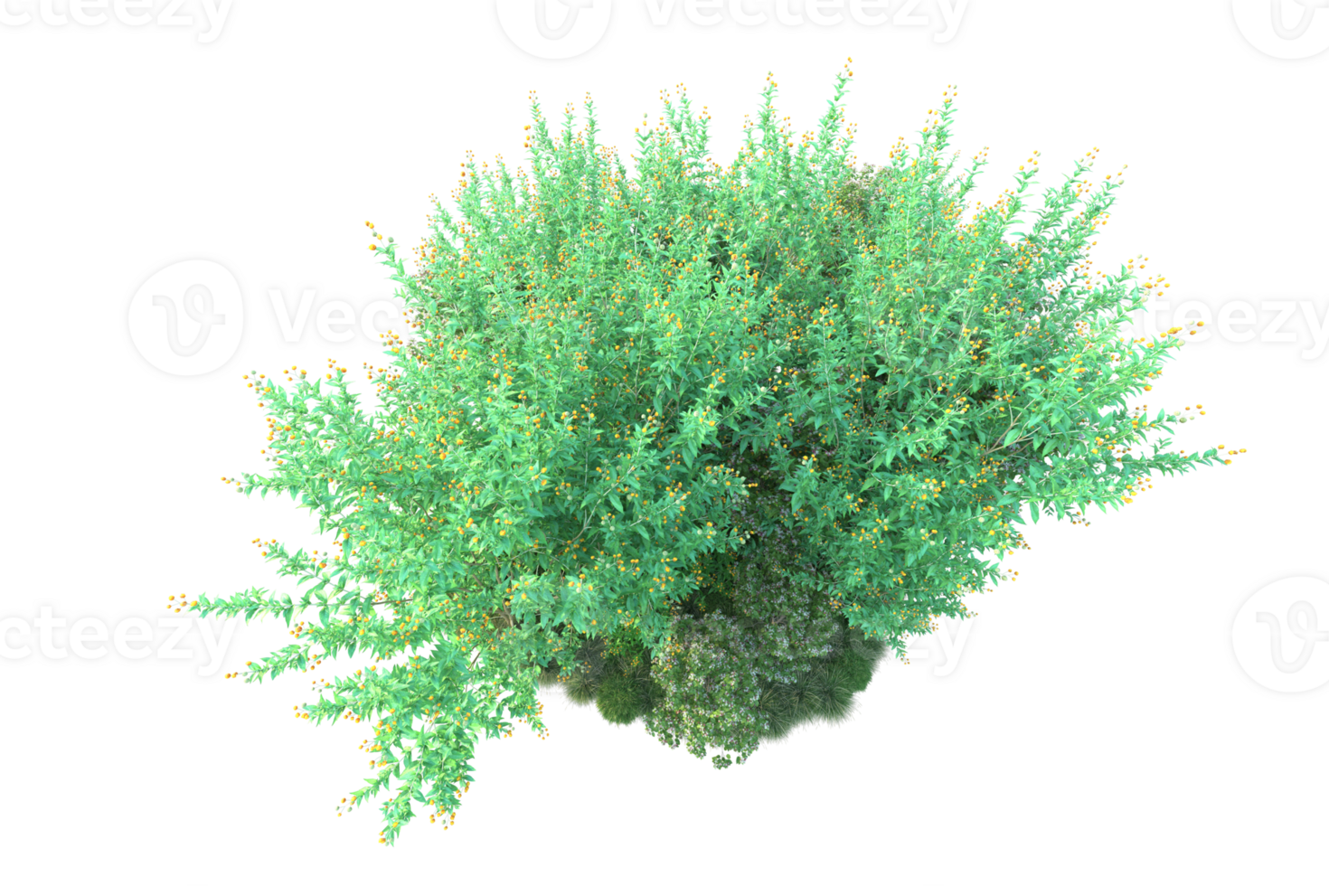 Tropical forest isolated on transparent background. 3d rendering - illustration png