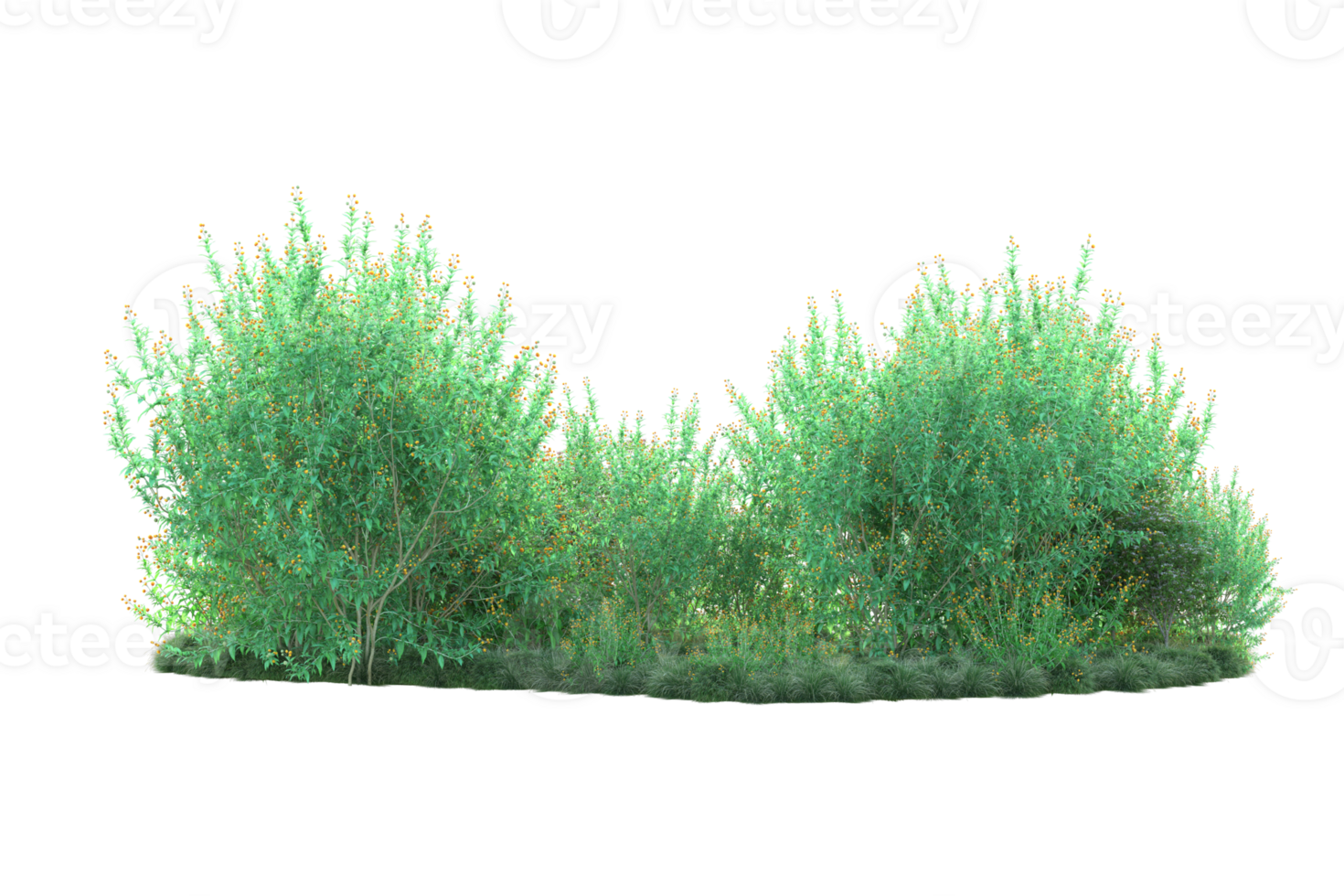 Tropical forest isolated on transparent background. 3d rendering - illustration png