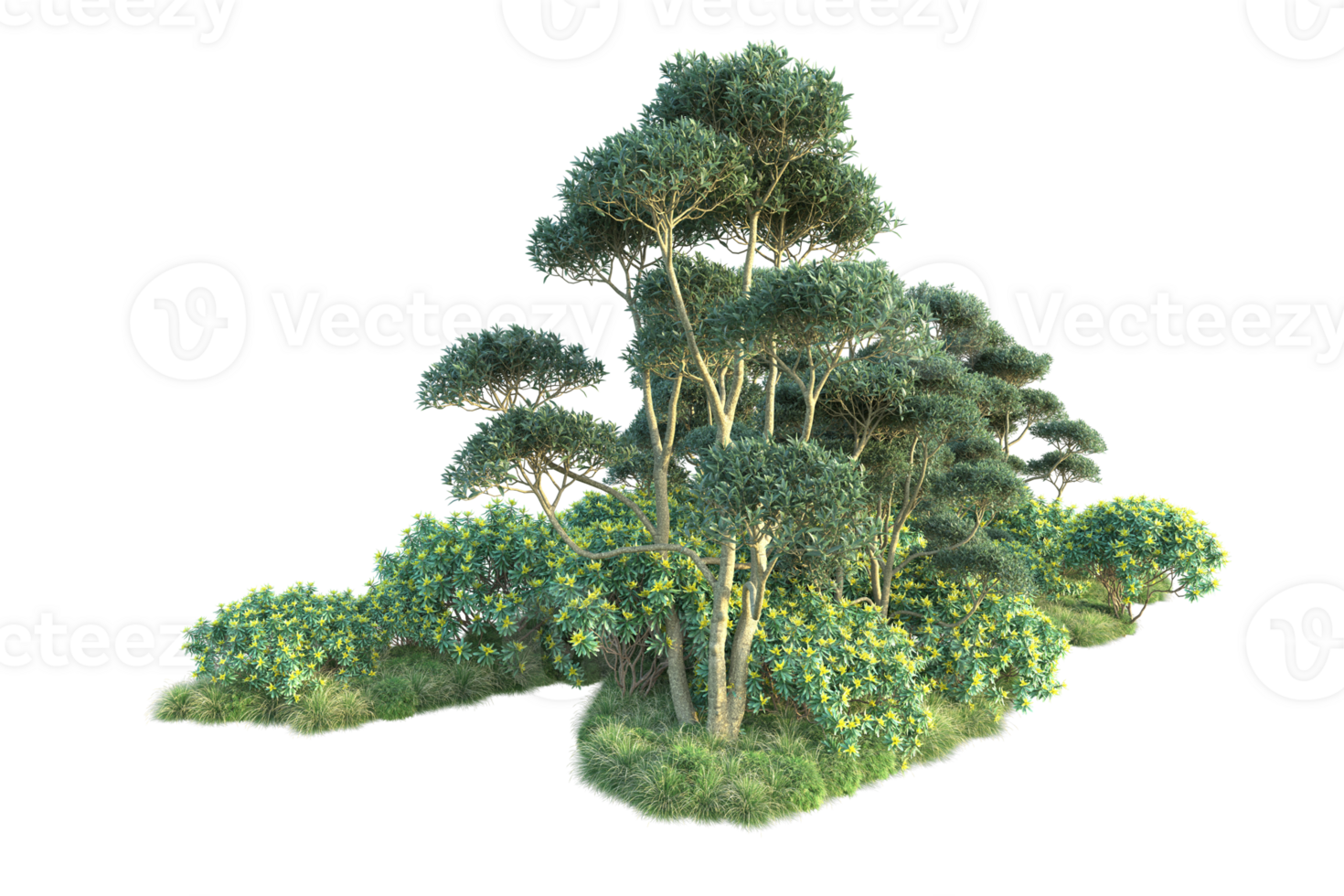 Tropical forest isolated on transparent background. 3d rendering - illustration png