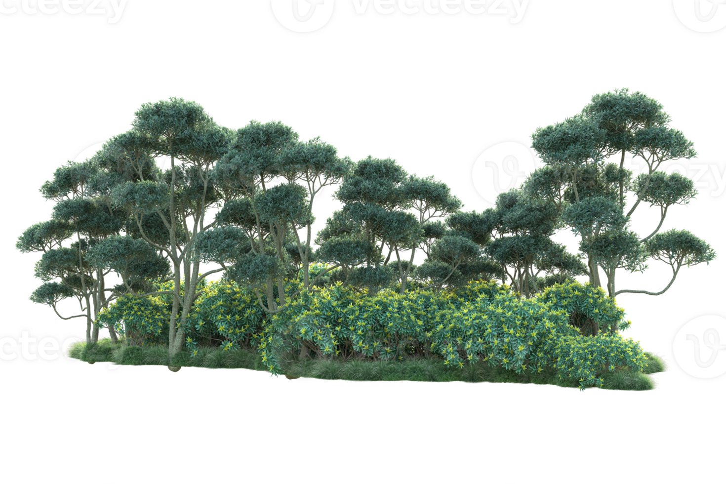 Tropical forest isolated on transparent background. 3d rendering - illustration png
