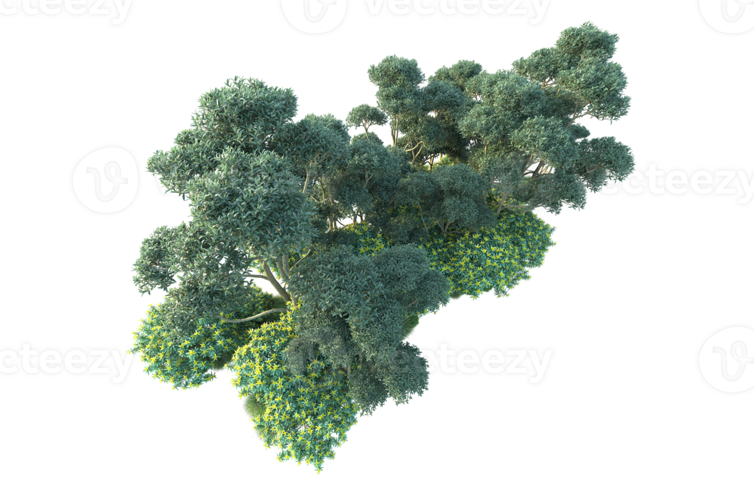 Tropical forest isolated on transparent background. 3d rendering - illustration png