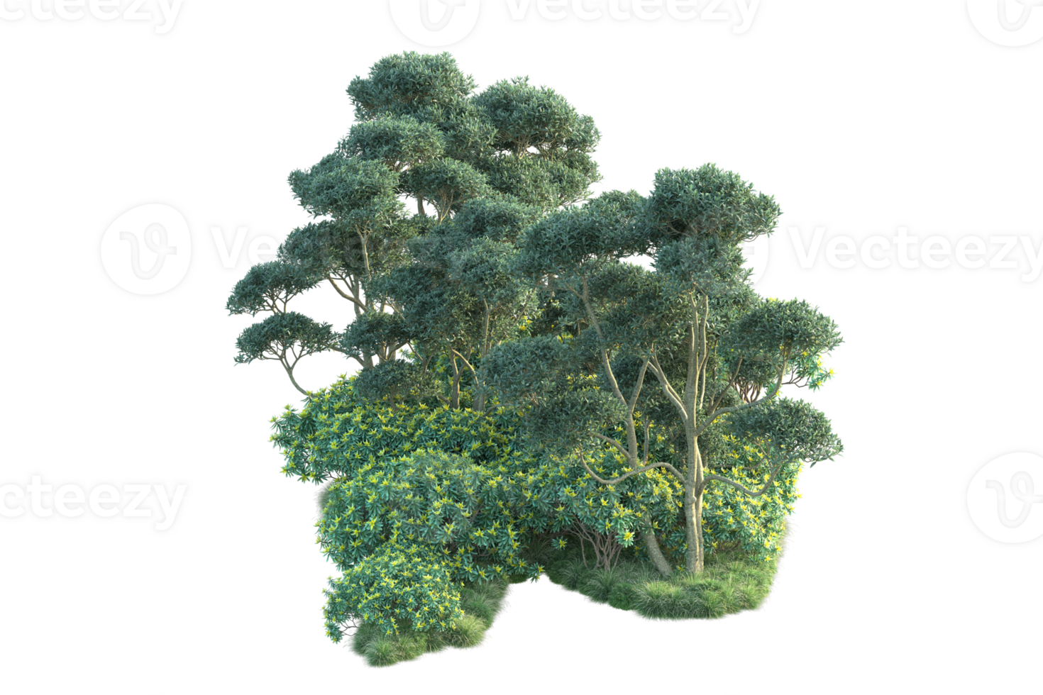 Tropical forest isolated on transparent background. 3d rendering - illustration png