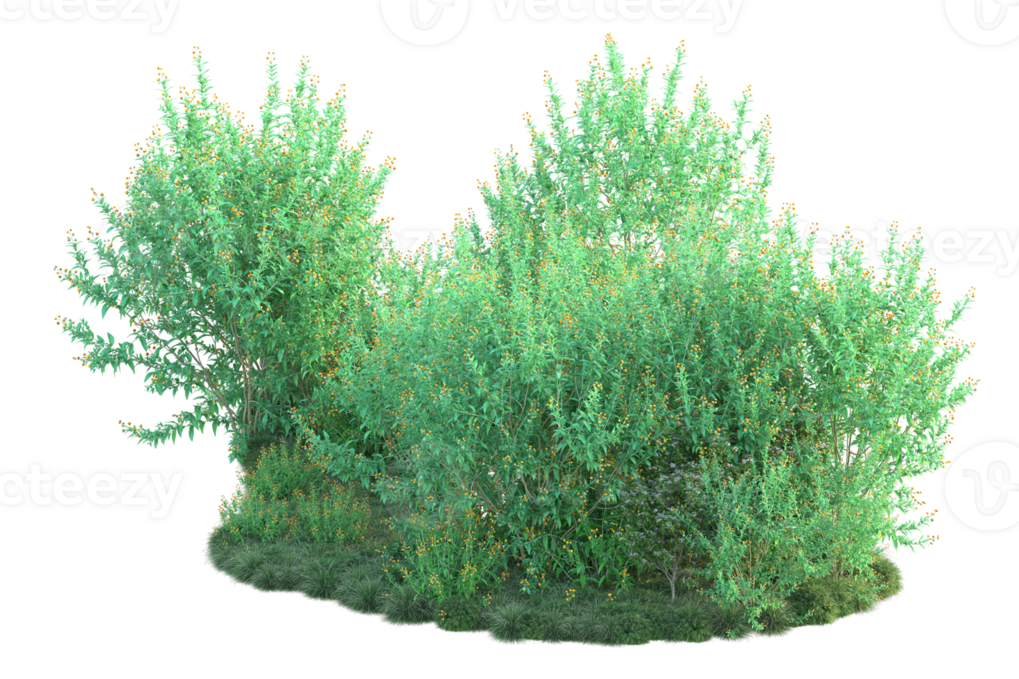 Tropical forest isolated on transparent background. 3d rendering - illustration png