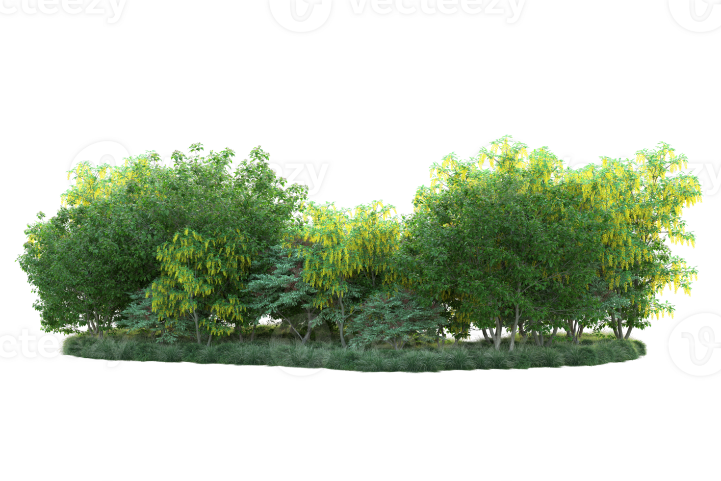 Tropical forest isolated on transparent background. 3d rendering - illustration png