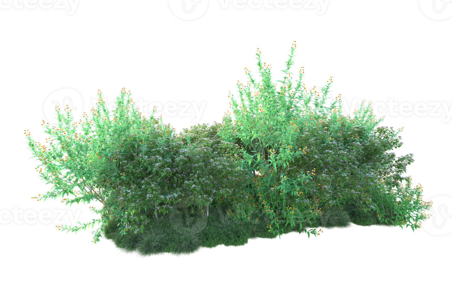Tropical forest isolated on transparent background. 3d rendering - illustration png