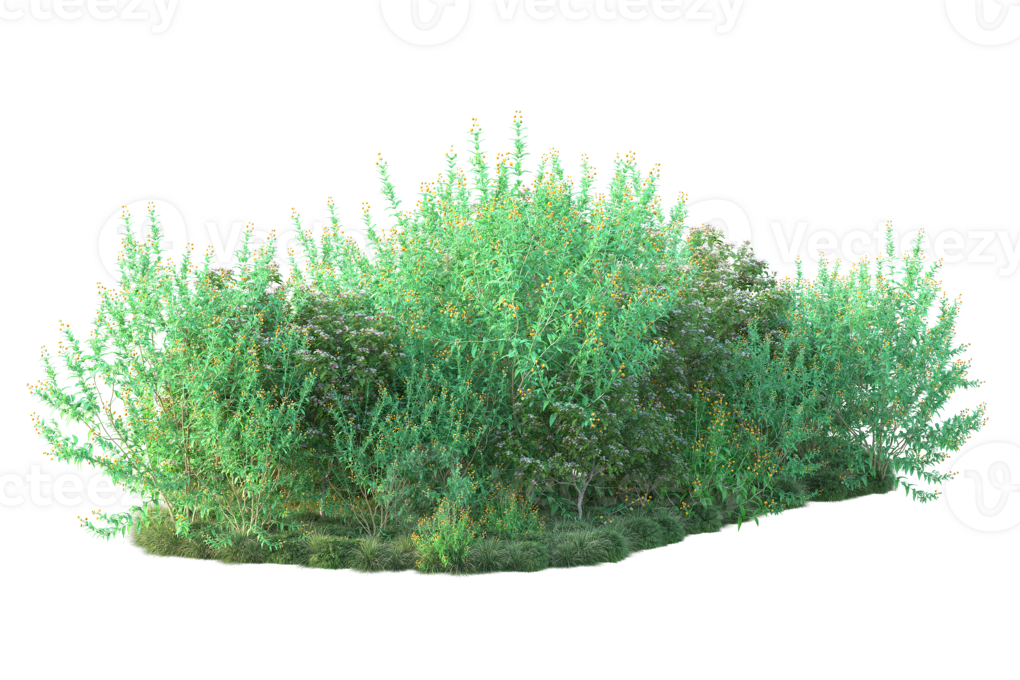Tropical forest isolated on transparent background. 3d rendering - illustration png