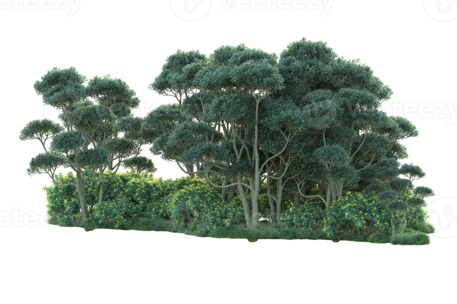 Tropical forest isolated on transparent background. 3d rendering - illustration png