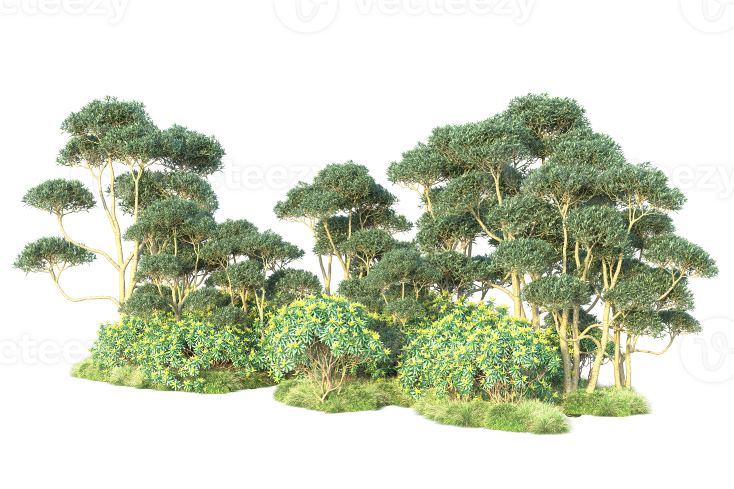 Tropical forest isolated on transparent background. 3d rendering - illustration png