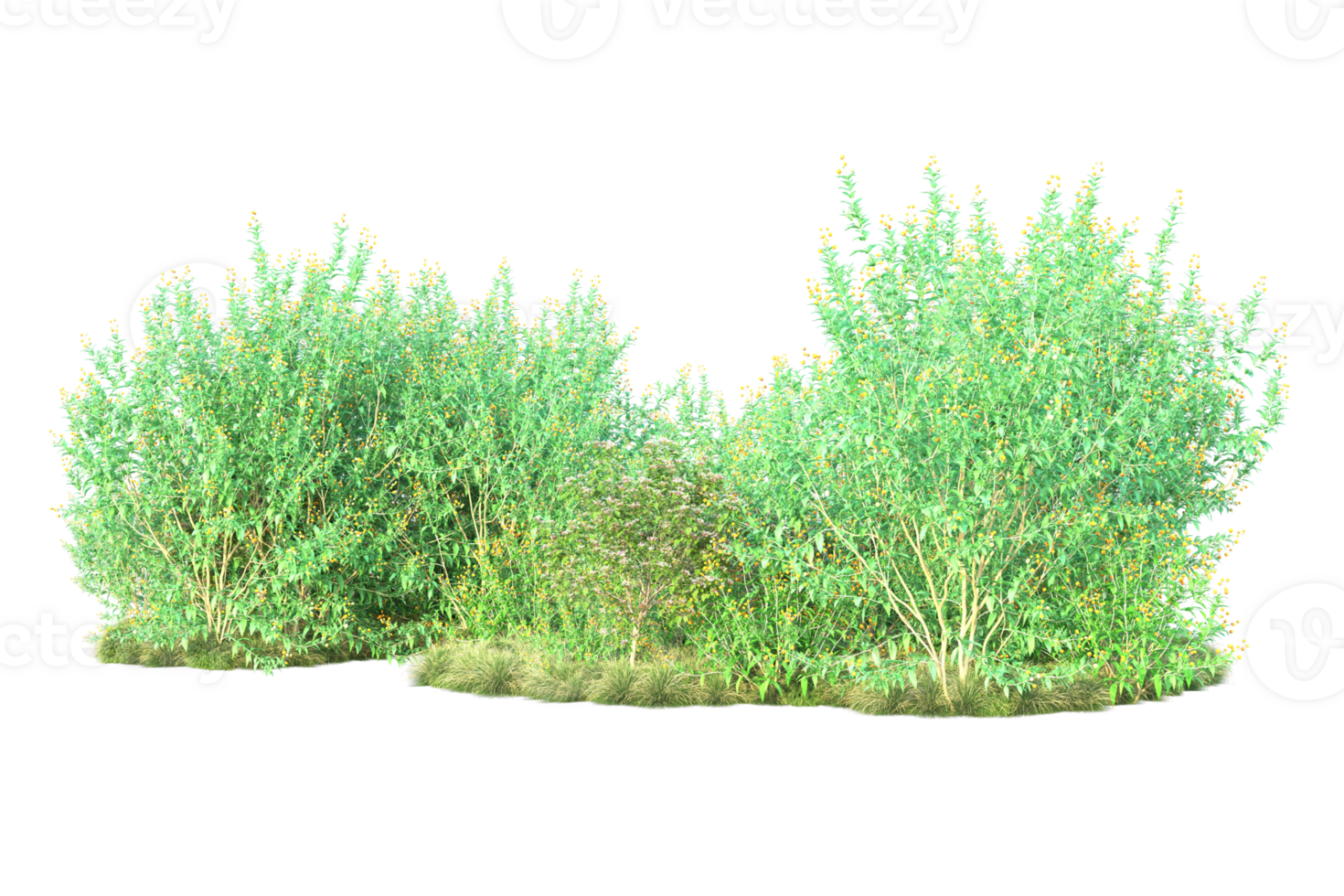 Tropical forest isolated on transparent background. 3d rendering - illustration png