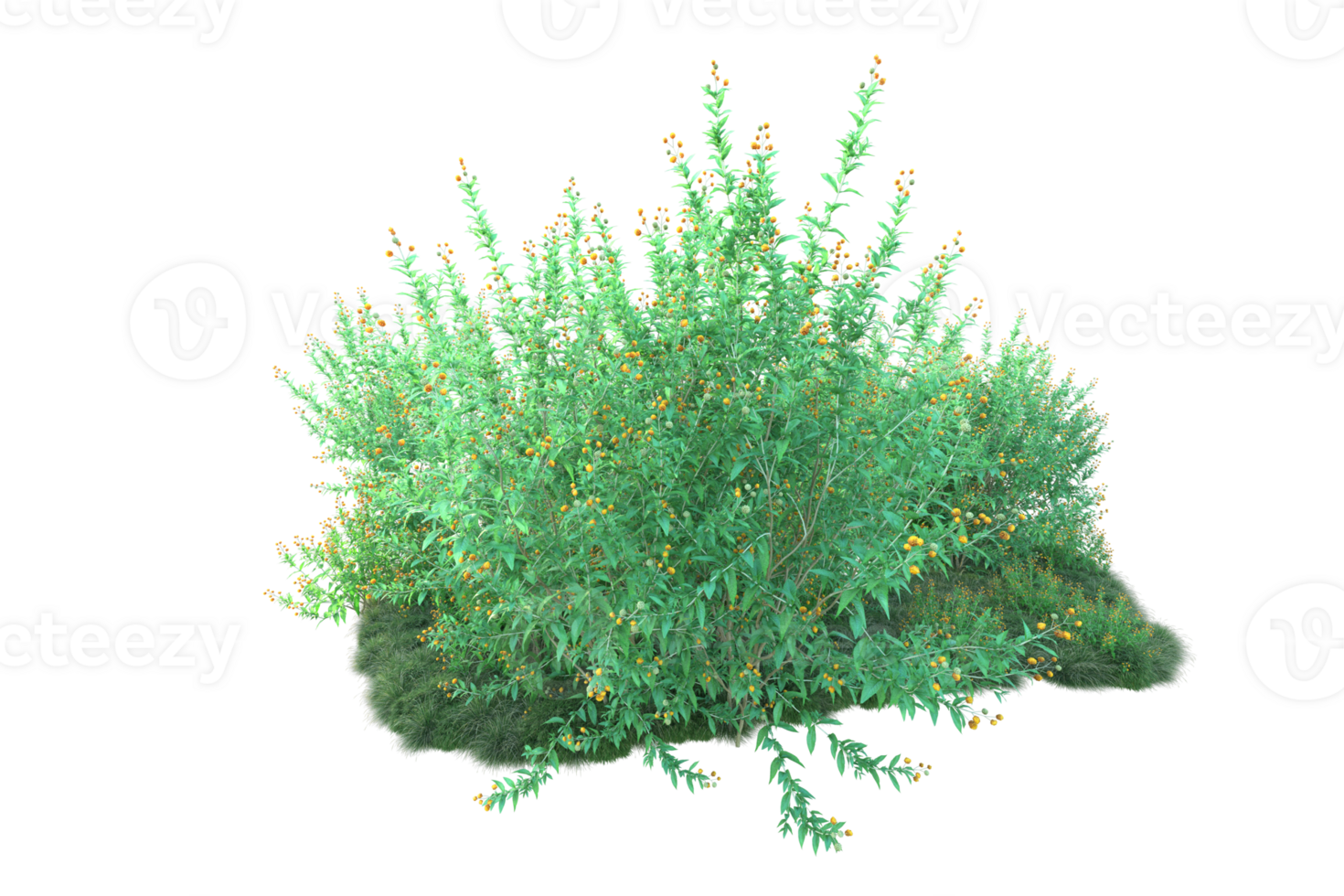 Tropical forest isolated on transparent background. 3d rendering - illustration png