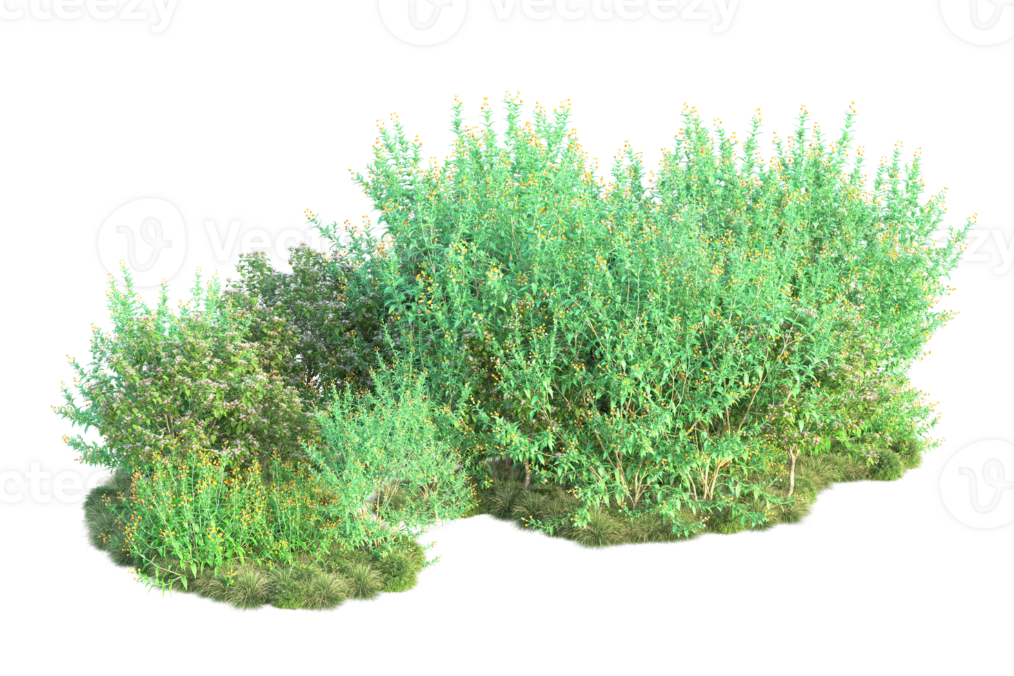 Tropical forest isolated on transparent background. 3d rendering - illustration png