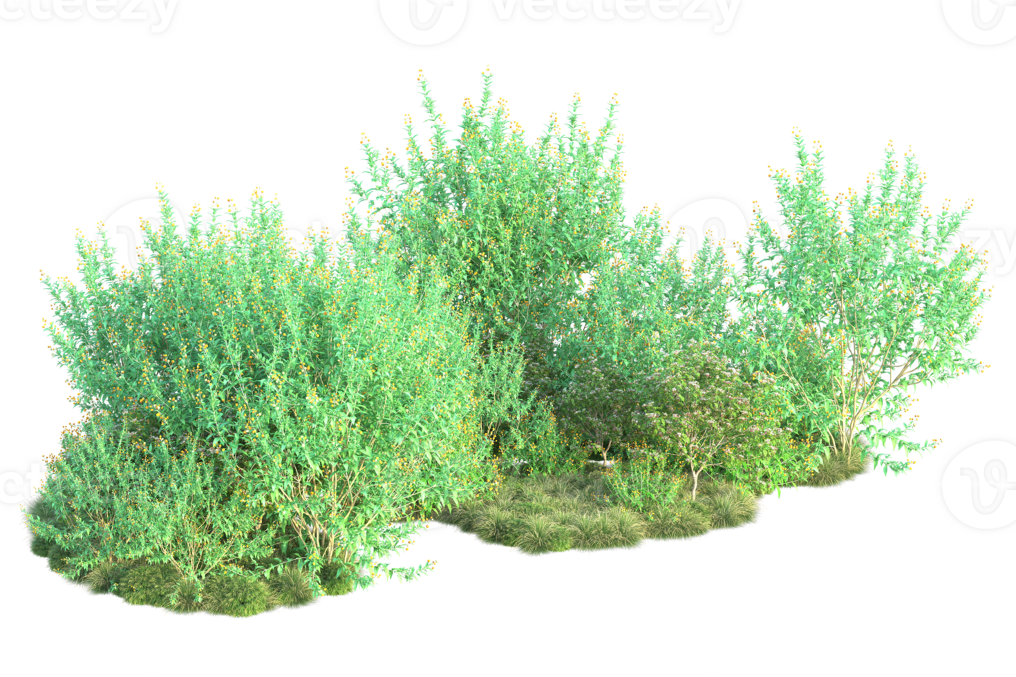Tropical forest isolated on transparent background. 3d rendering - illustration png