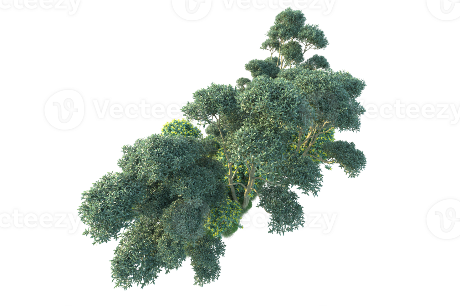 Tropical forest isolated on transparent background. 3d rendering - illustration png
