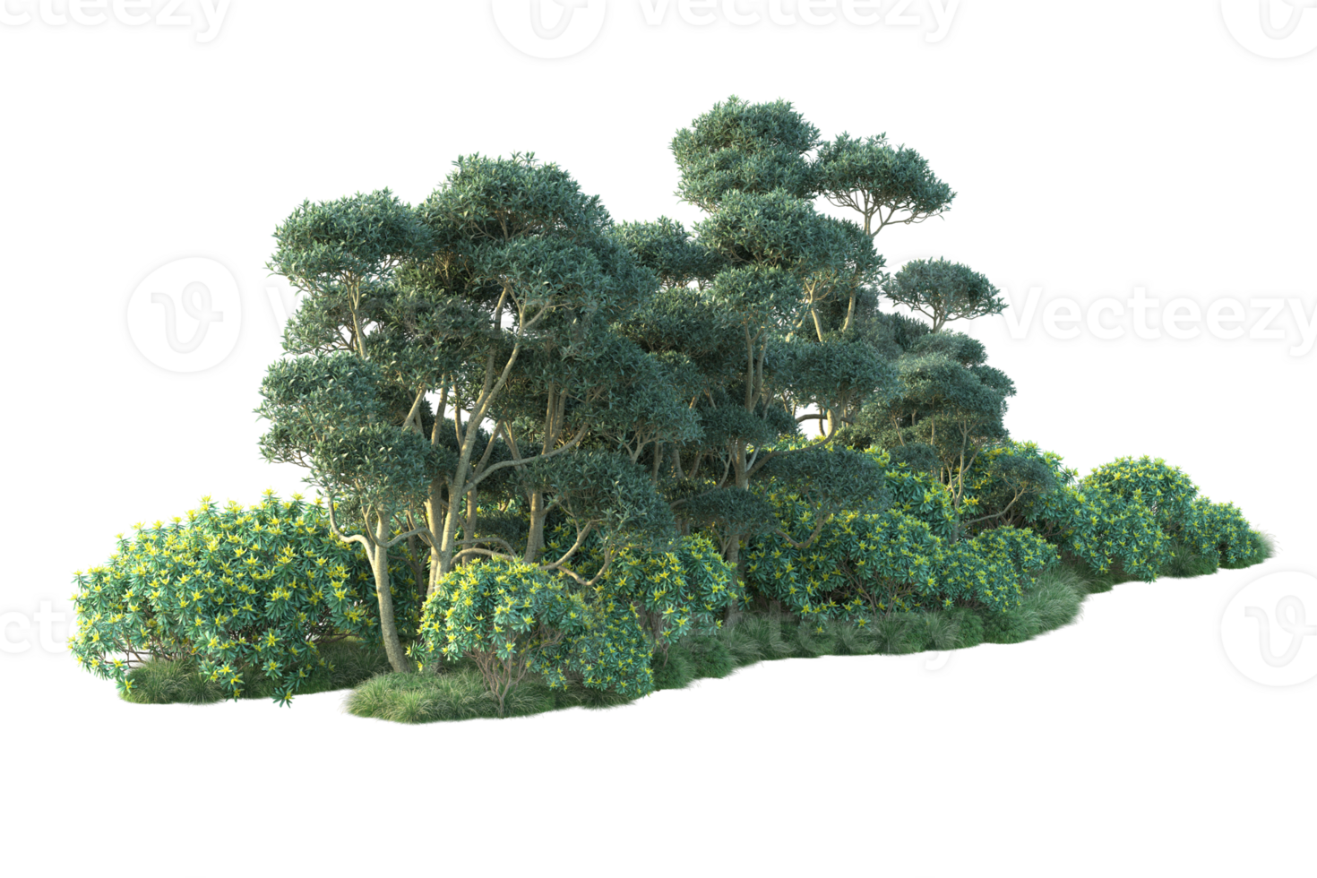Tropical forest isolated on transparent background. 3d rendering - illustration png
