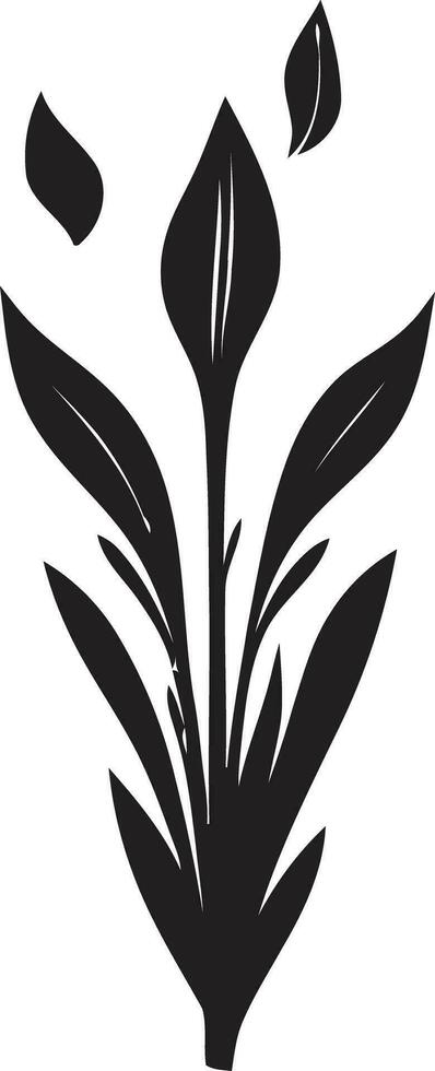 Tropical Foliage Beauty Vector Black Design Black Vector Tropical Bloom Icon