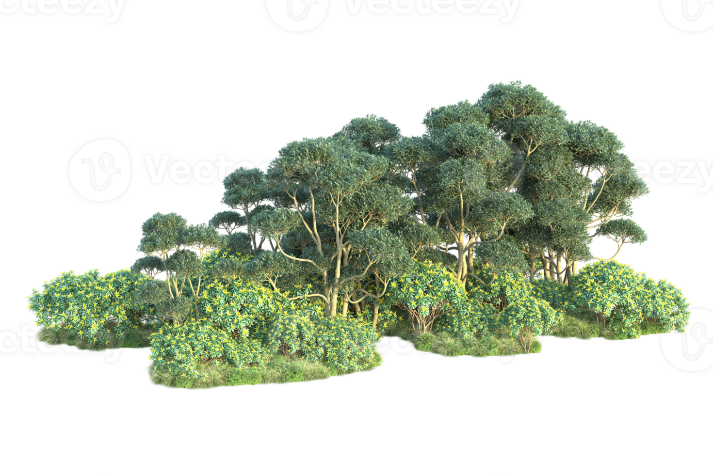 Tropical forest isolated on transparent background. 3d rendering - illustration png