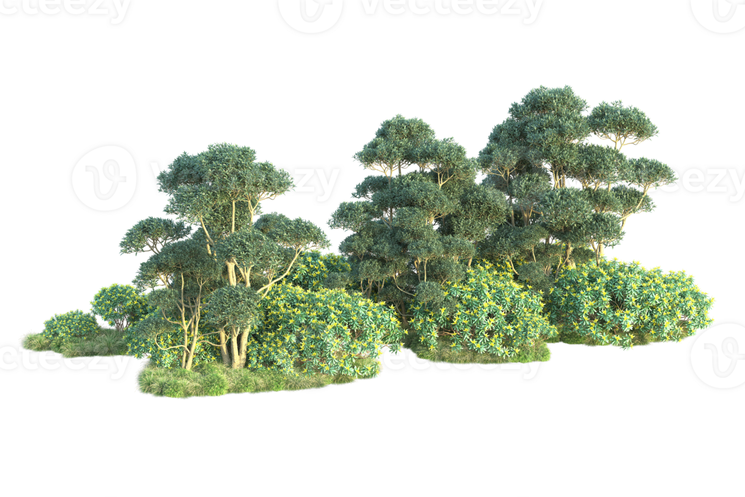 Tropical forest isolated on transparent background. 3d rendering - illustration png