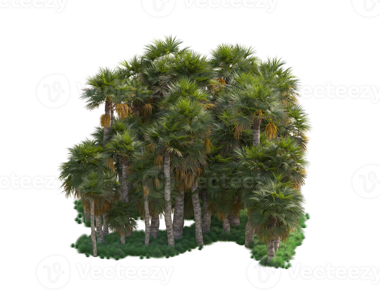 Tropical forest isolated on transparent background. 3d rendering - illustration png