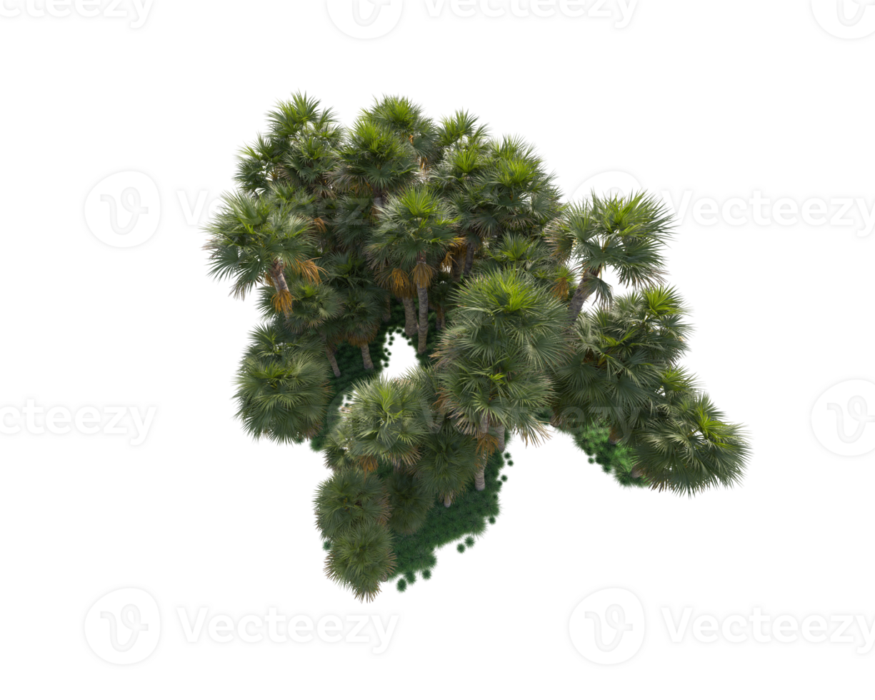 Tropical forest isolated on transparent background. 3d rendering - illustration png