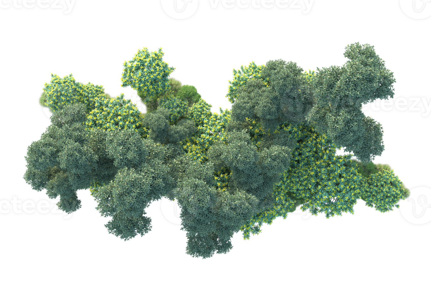 Tropical forest isolated on transparent background. 3d rendering - illustration png