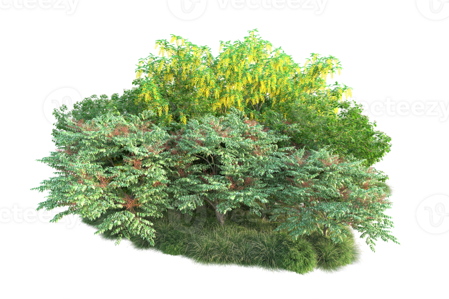 Tropical forest isolated on transparent background. 3d rendering - illustration png