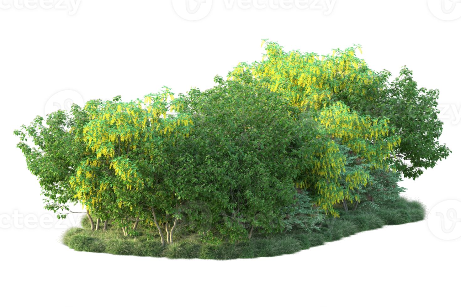 Tropical forest isolated on transparent background. 3d rendering - illustration png