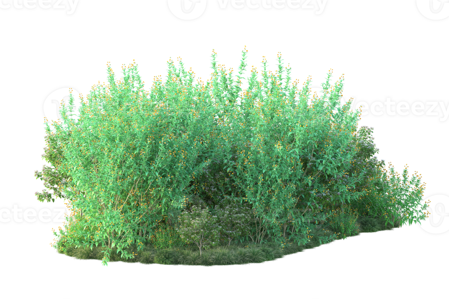 Tropical forest isolated on transparent background. 3d rendering - illustration png