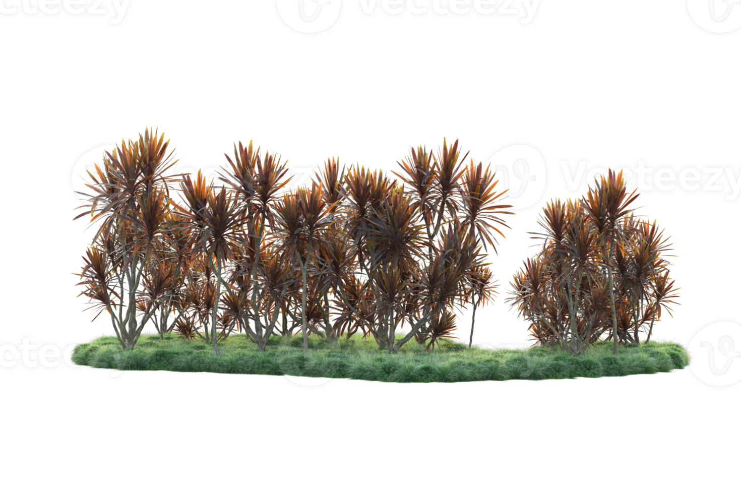 Tropical forest isolated on transparent background. 3d rendering - illustration png