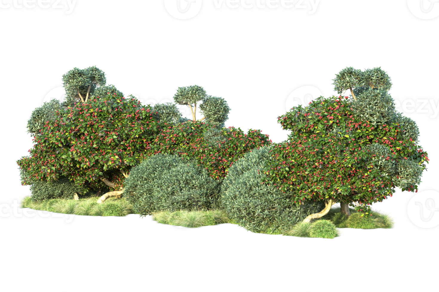 Tropical forest isolated on transparent background. 3d rendering - illustration png