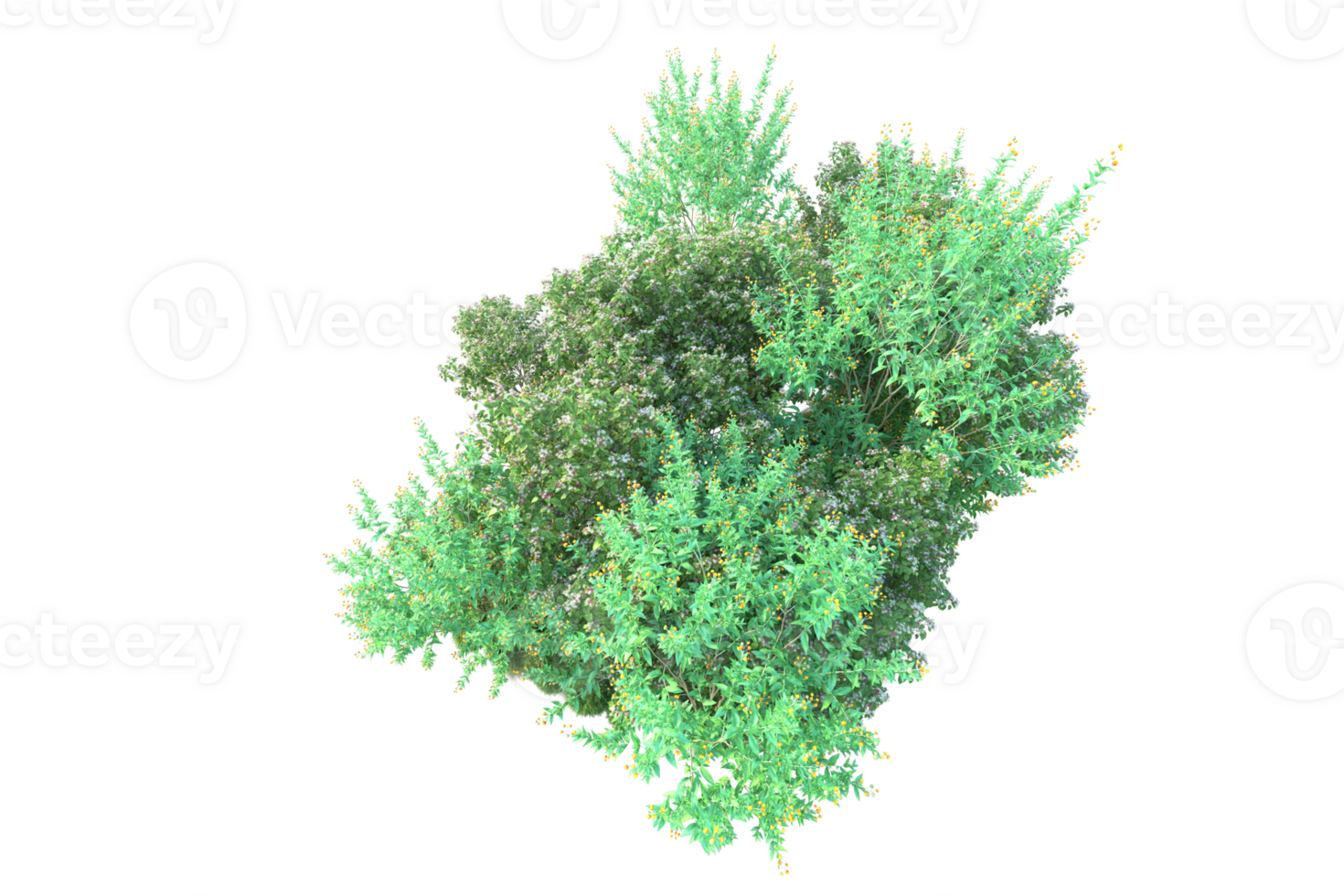 Tropical forest isolated on transparent background. 3d rendering - illustration png