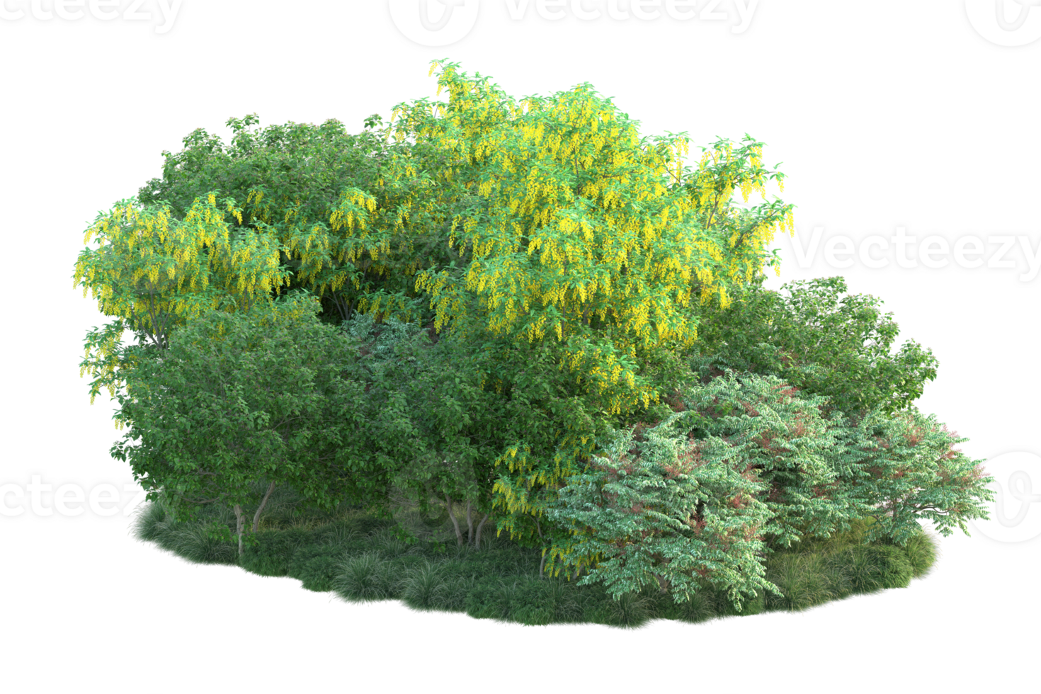 Tropical forest isolated on transparent background. 3d rendering - illustration png