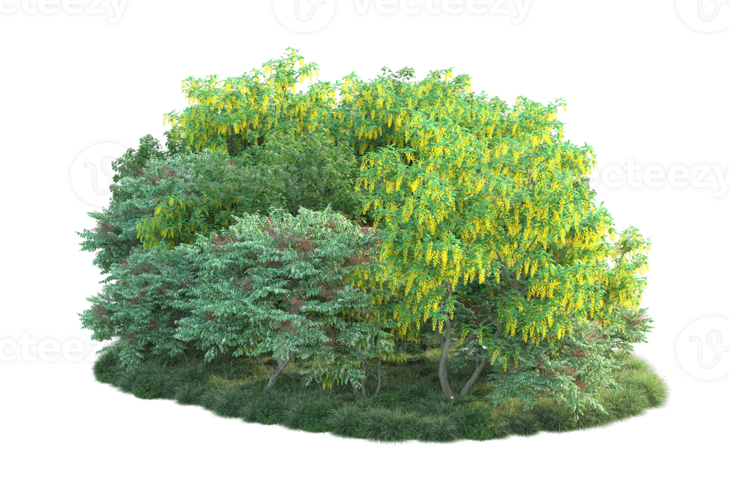 Tropical forest isolated on transparent background. 3d rendering - illustration png