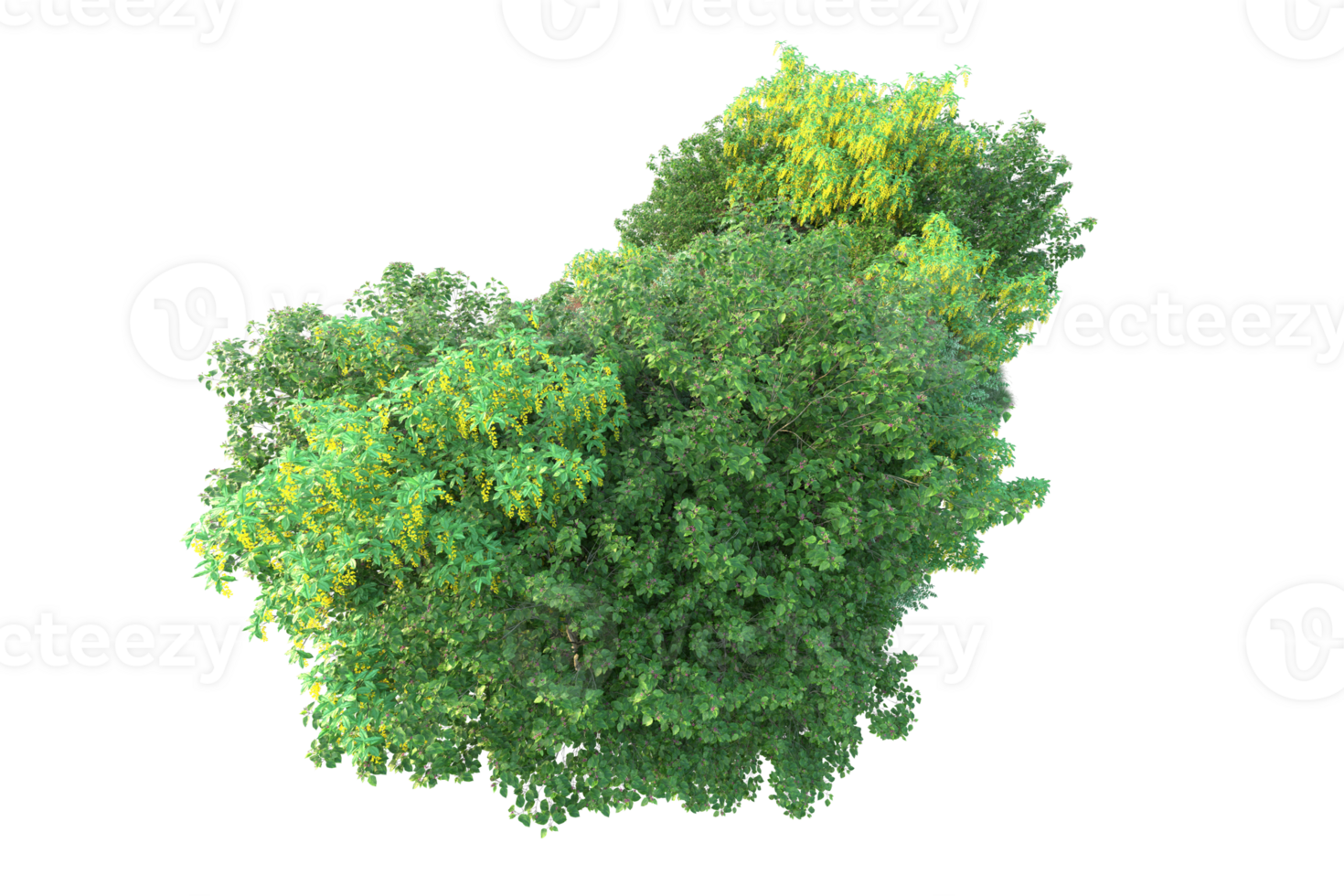 Tropical forest isolated on transparent background. 3d rendering - illustration png